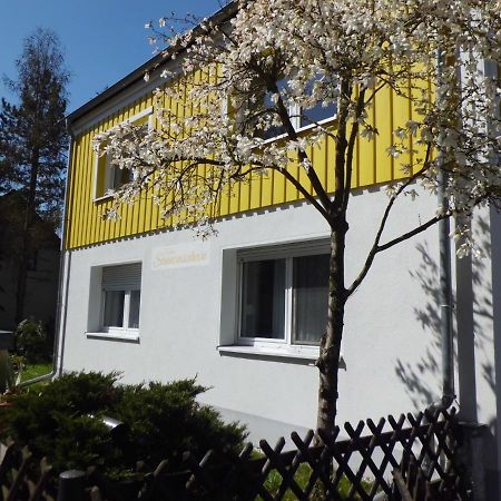 Ferienwohnung Im Haus Sonnenschein Beim Senftenberger See Hosena Zewnętrze zdjęcie