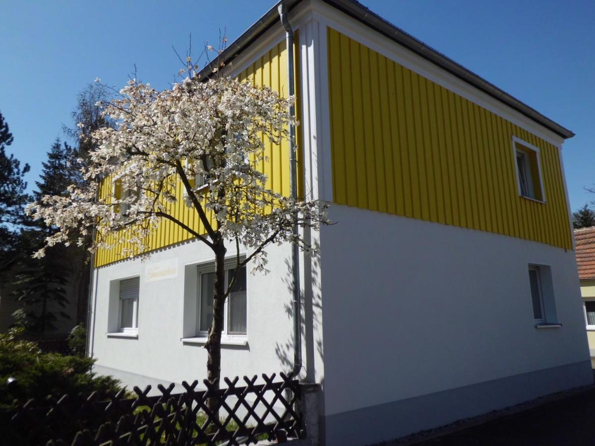 Ferienwohnung Im Haus Sonnenschein Beim Senftenberger See Hosena Zewnętrze zdjęcie